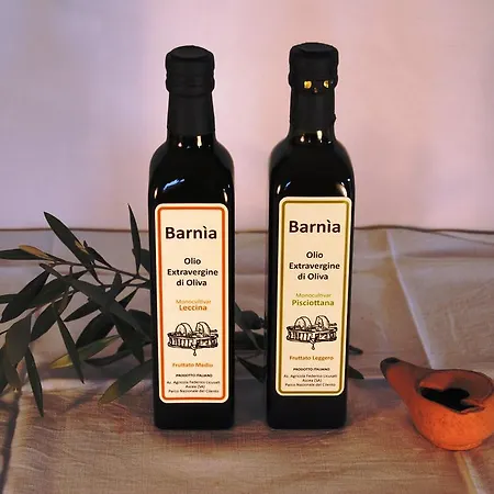 Apartment Barnia *