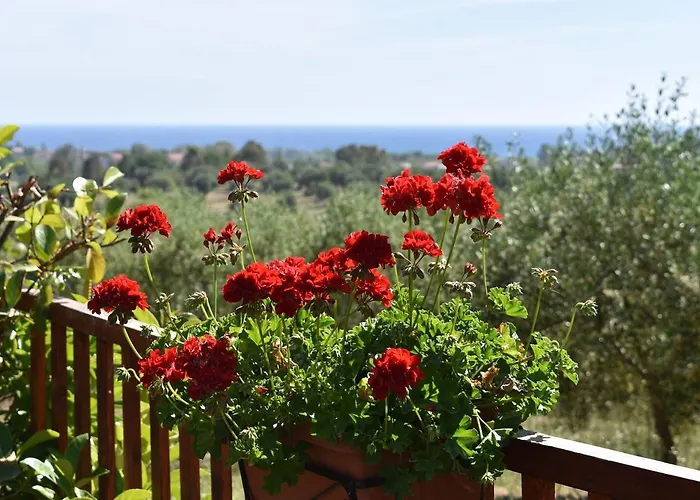 Barnia アシェーア